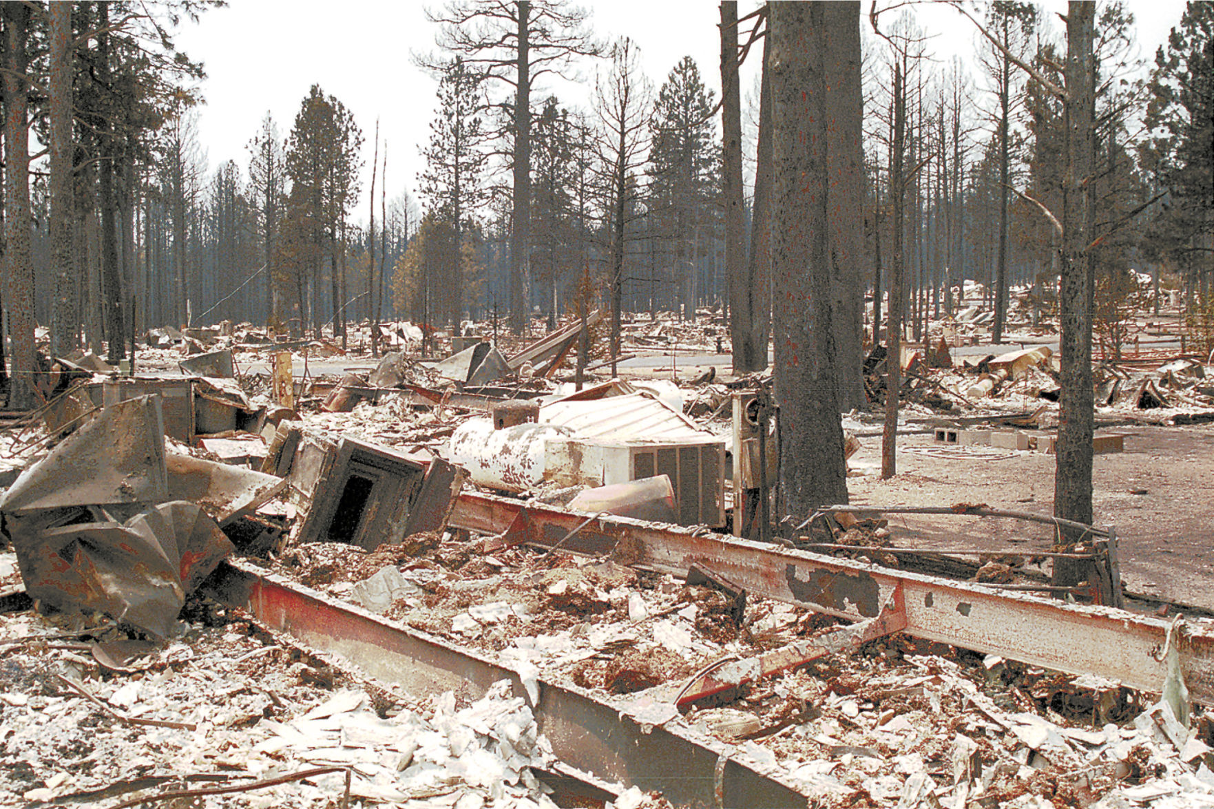 Rodeo-Chediski devastation in Overgaard